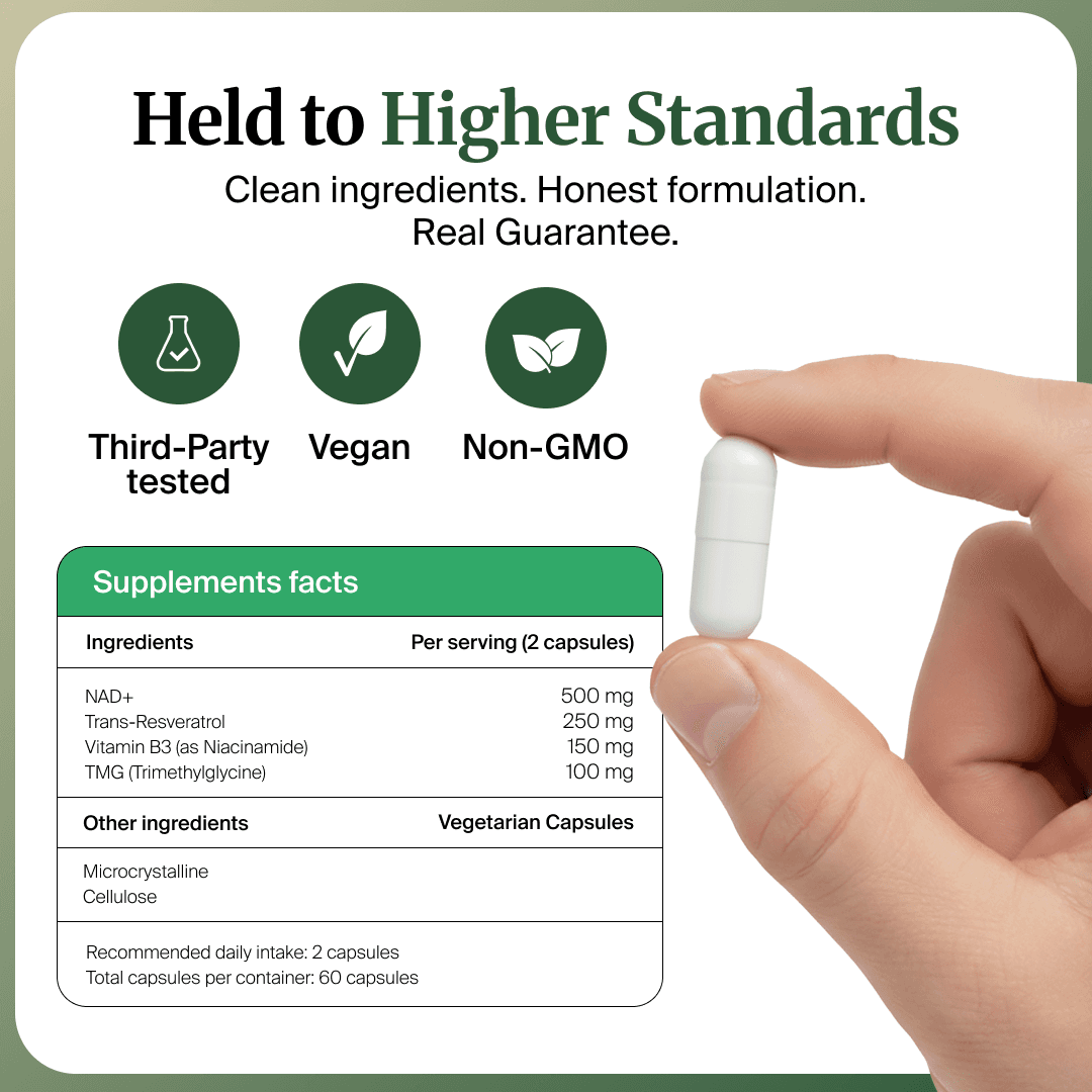 The Sleepr ergonomic pillow on a bed in a bedroom setting